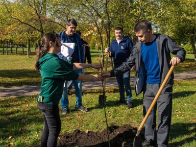 Корреспонденты «Туймазинского вестника» приняли участие в посадке деревьев на Аллее участников СВО